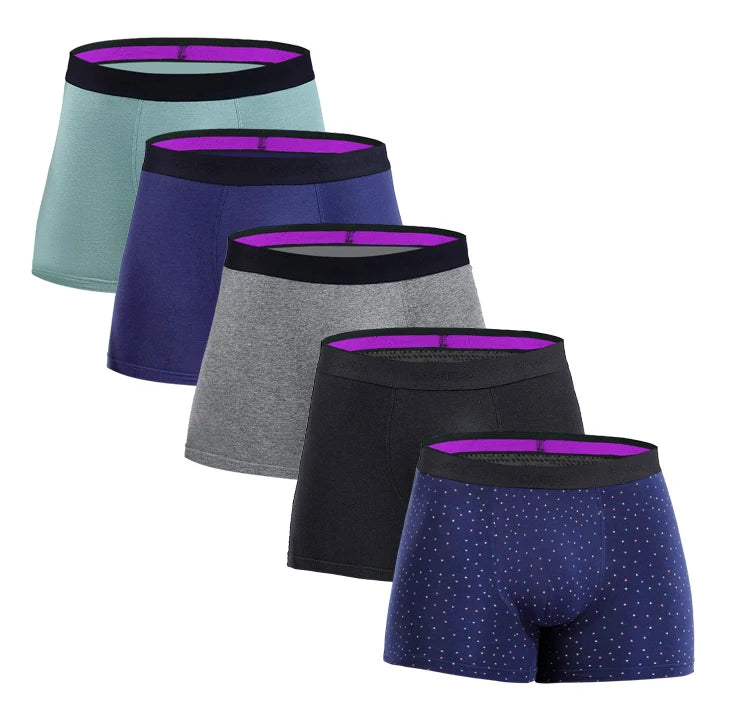 5pcs Pack Mens Panties Cotton Underwear Male Brand Boxer Briefs 2025 Underpants For Homme Luxury Sexy Shorts Gift