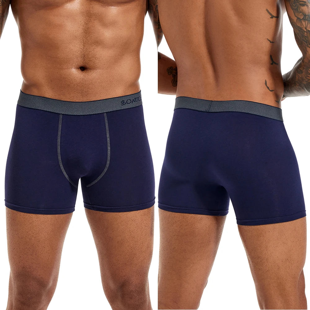 5pcs Pack Mens Panties Cotton Underwear Male Brand Boxer Briefs 2025 Underpants For Homme Luxury Sexy Shorts Gift