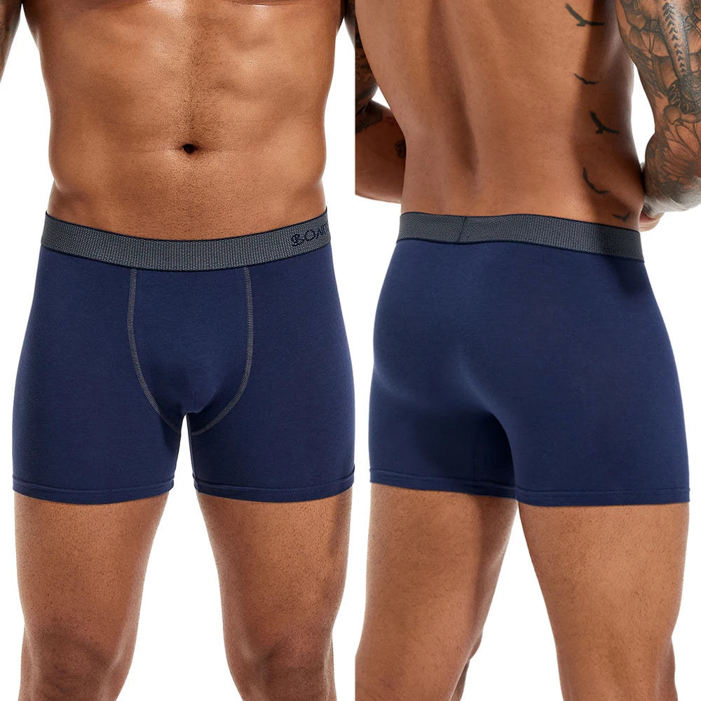5pcs Pack Mens Panties Cotton Underwear Male Brand Boxer Briefs 2025 Underpants For Homme Luxury Sexy Shorts Gift