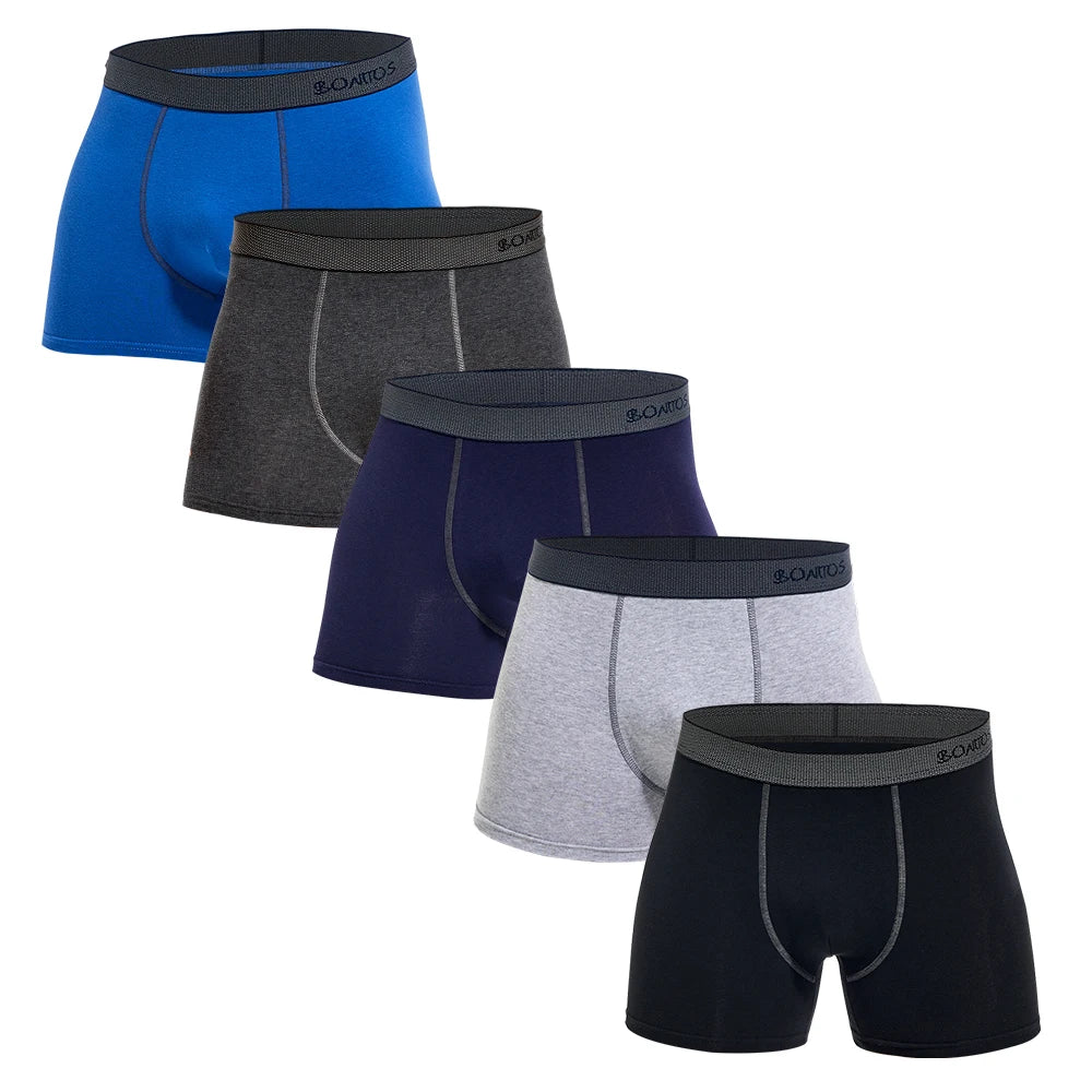 5pcs Pack Mens Panties Cotton Underwear Male Brand Boxer Briefs 2025 Underpants For Homme Luxury Sexy Shorts Gift