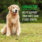120 Count Omega 3 Fish Oil Softgels Supplement for Dogs Skin Coat Vitaminas Para Animales Supplement Joint Bone Health Support