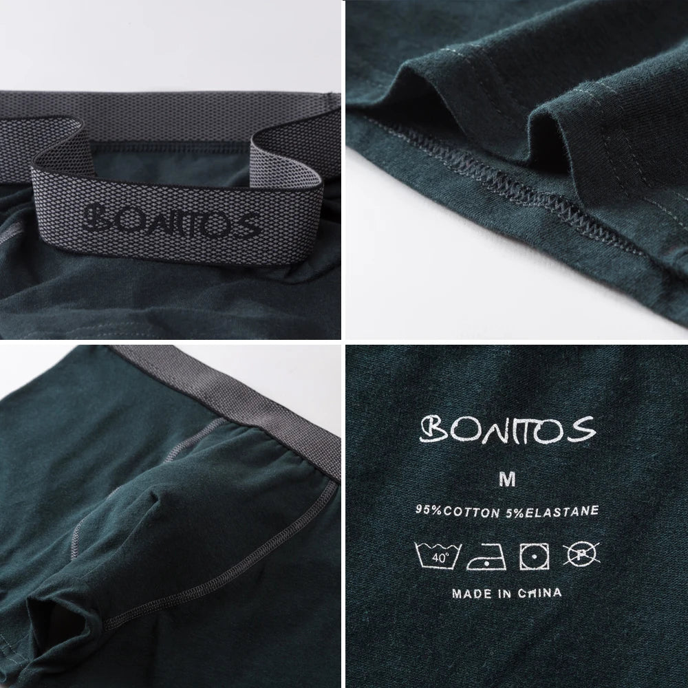 5pcs Pack Mens Panties Cotton Underwear Male Brand Boxer Briefs 2025 Underpants For Homme Luxury Sexy Shorts Gift