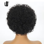 Brazilian Human Hair Wig For Black Women Afro Curly Pixie Bob Short Preplucked Hairline 13X1 Hd Lace Front Bob Water Wave Wig