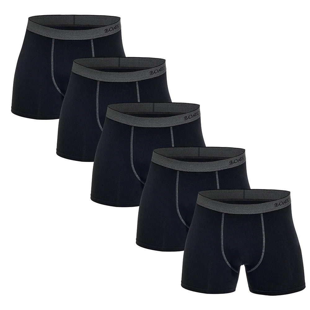 5pcs Pack Mens Panties Cotton Underwear Male Brand Boxer Briefs 2025 Underpants For Homme Luxury Sexy Shorts Gift